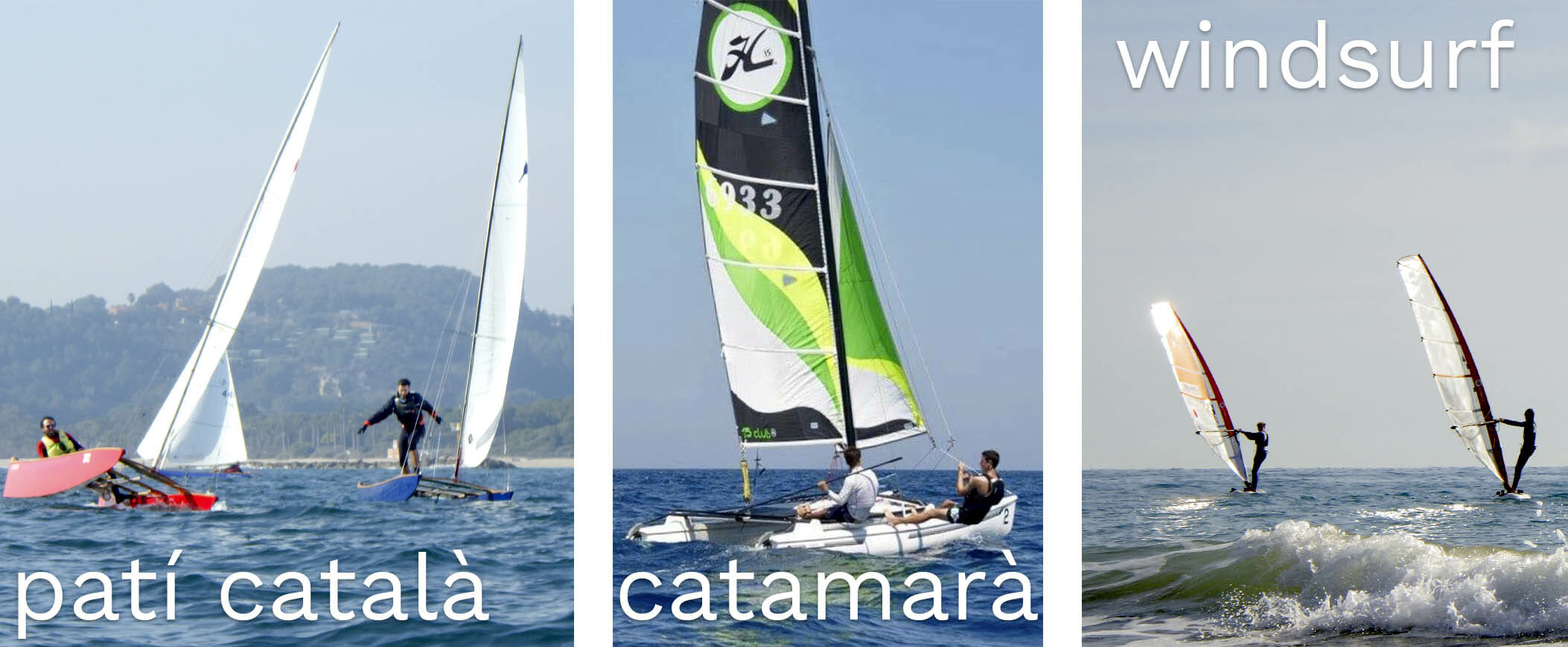 cursos patí català, windsurf i catamarà